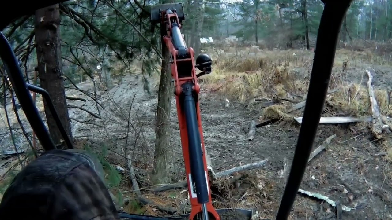 Pushing over 2 trees with a mini excavator