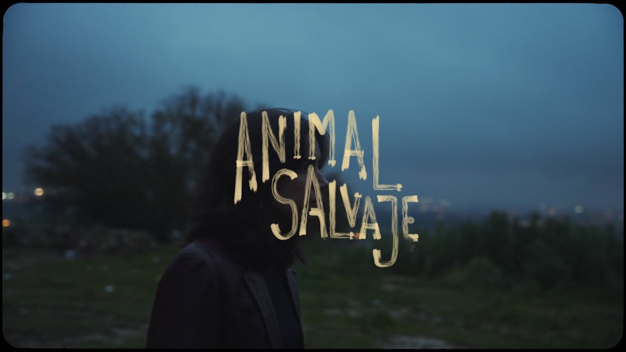 Pilu - Animal Salvaje (Videoclip Oficial)