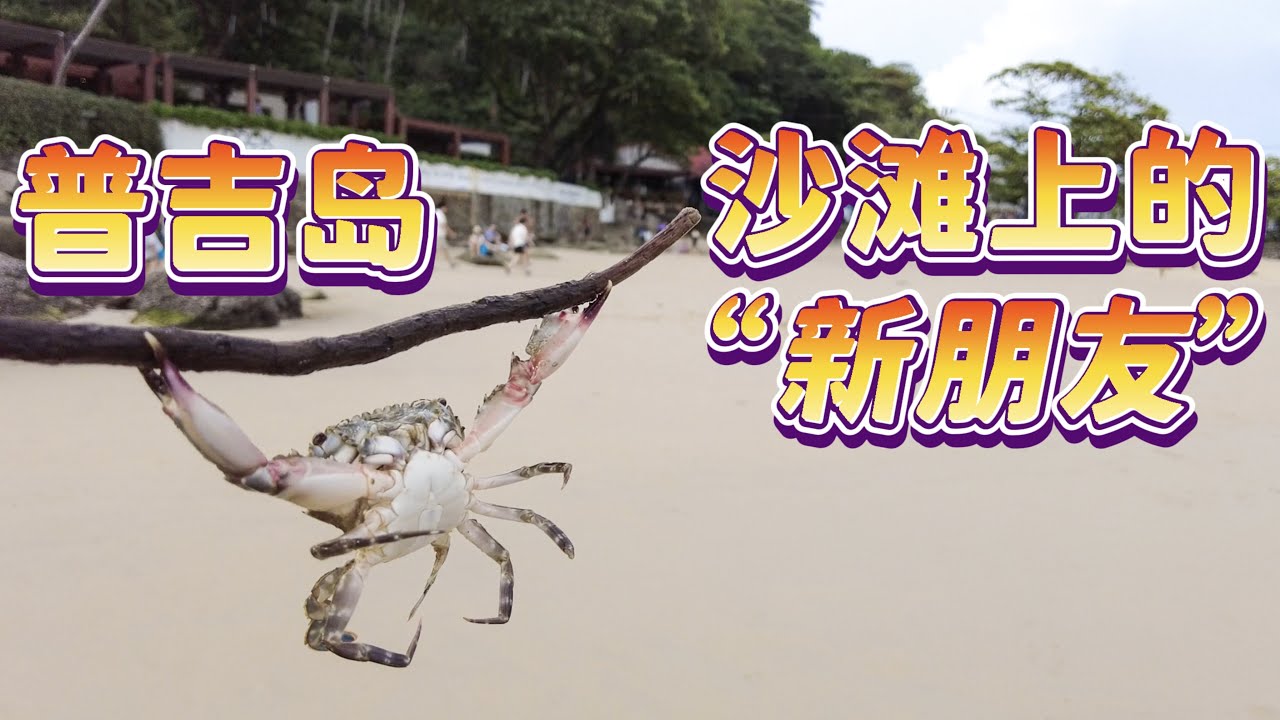 普吉島海邊撿小海鮮｜沙灘大排檔 VS 路邊攤 ｜哪個最能體現泰國美食精髓