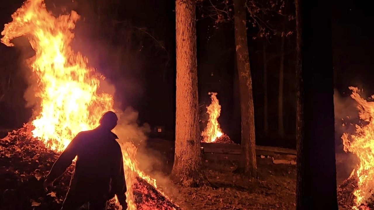 Burn IT DOWN