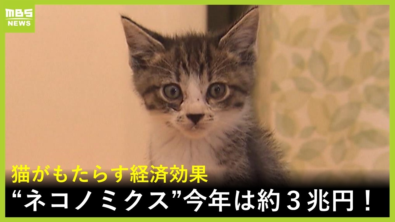猫がもたらす「ネコノミクス」経済効果は万博に匹敵する約３兆円！？　ヒット商品は&ldquo;猫の肉球イメージ&rdquo;のハンドクリーム　通販会社「フェリシモ」（2026年2月18日）
