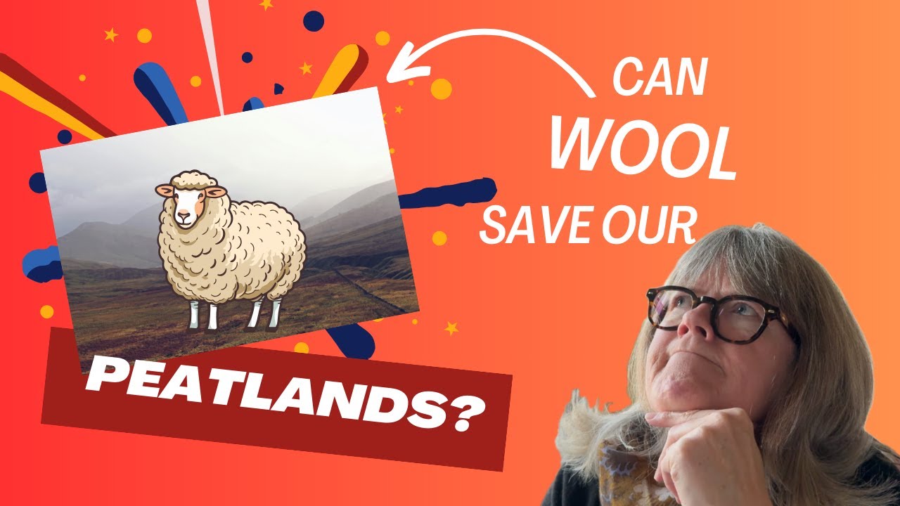 Can Wool Save Peatlands?