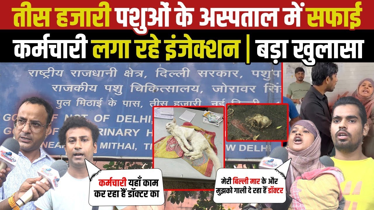Cleaning staff is giving injections in Tis Hazari animal hospital, big revelation l Delhi News