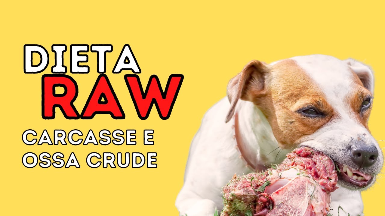 Dieta Raw: alimentazione del cane crudista