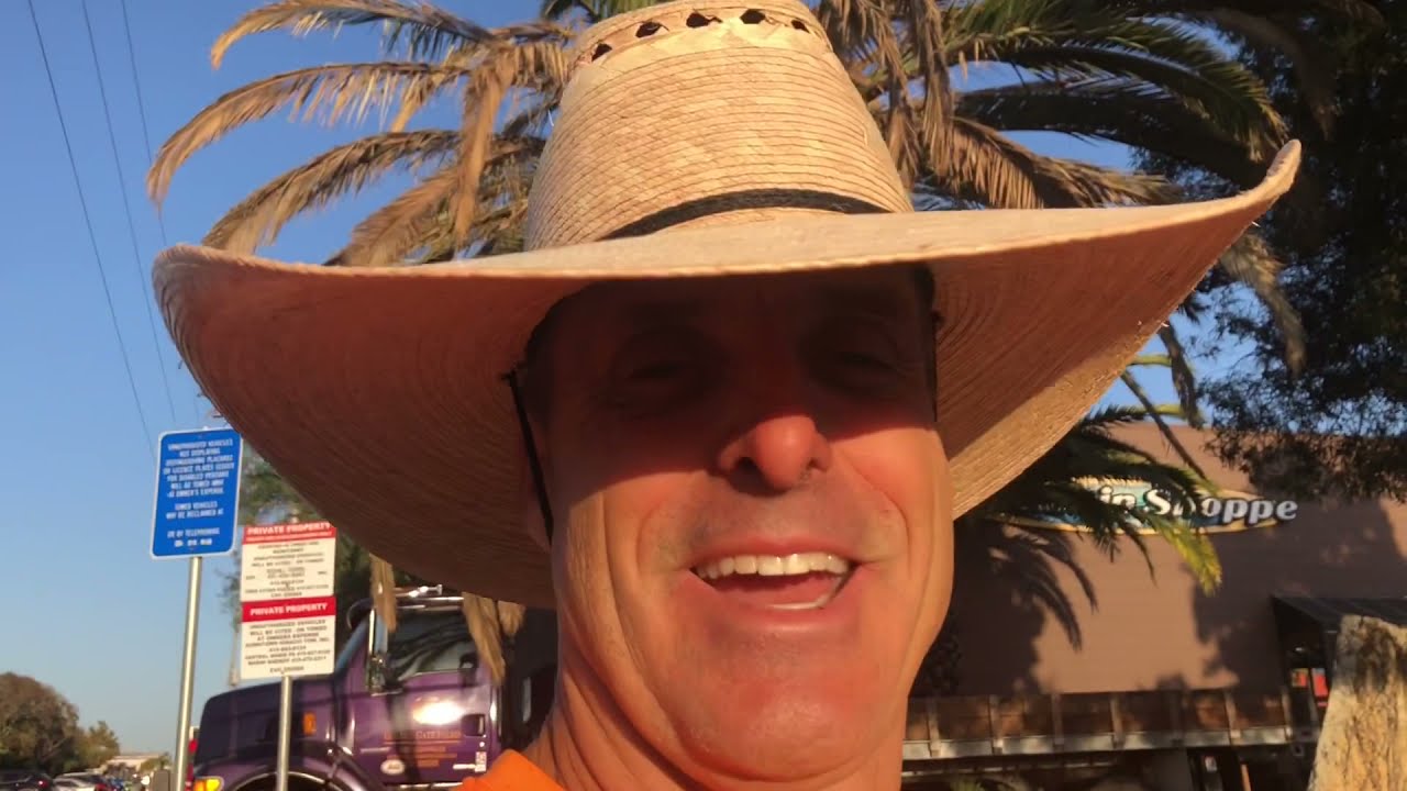 Fusarium Disease in Canary Palms