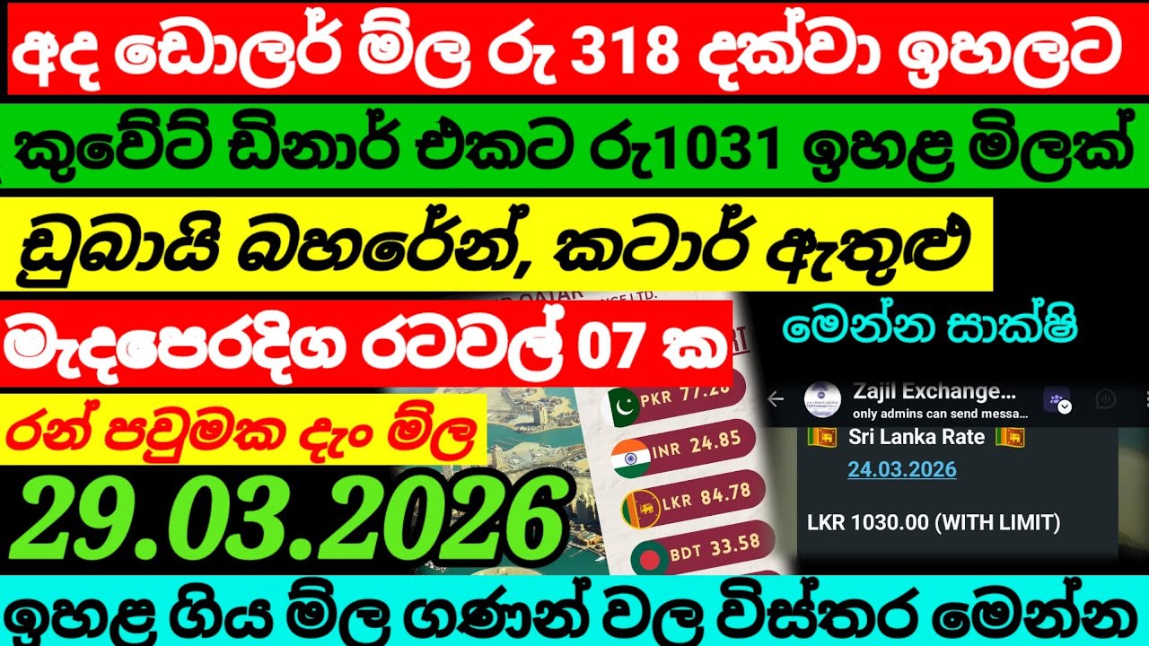කුවේට් ඩිනාර් එකට රු 1031 ක මිලක්|dollar exchange rate today |currency|remittance| 29.03.2026