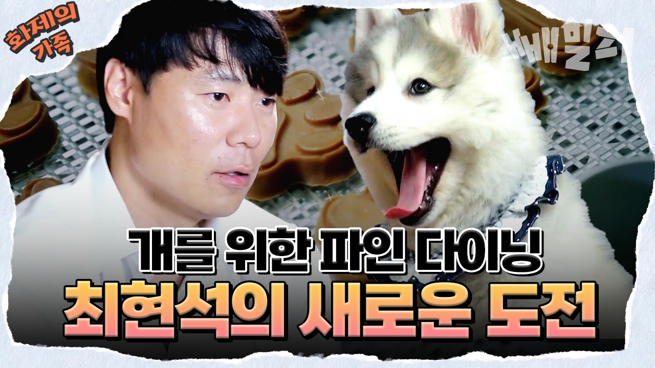 [#화제의가족] 흑백요리사? 아니, 오늘은 개밥 요리사👨‍🍳 최현석의 댕댕이를 위한 요리🐶🍽 | 개밥주는남자2
