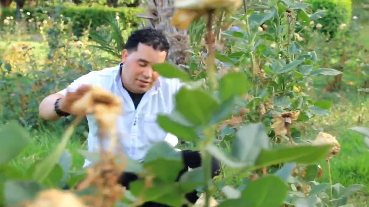 عبدالعالي اوريك (يصدير اغنية جديد بعنوان ايور)abdlali awrik