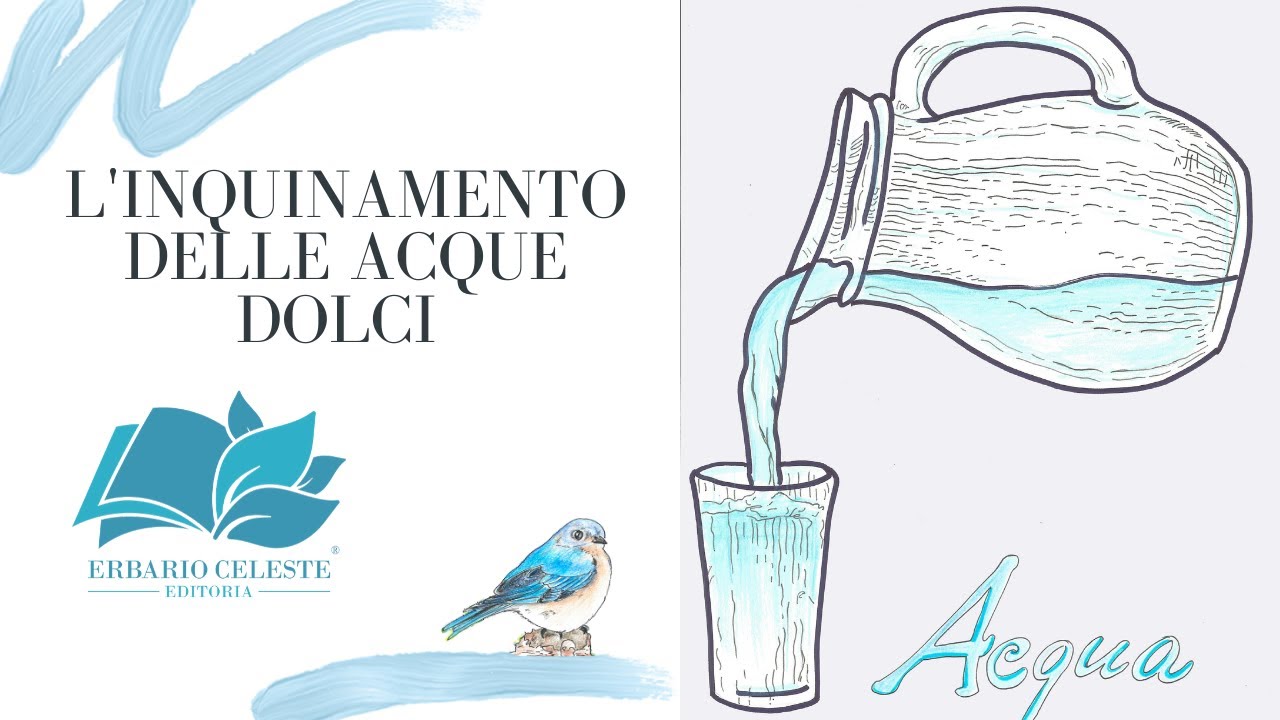 L'inquinamento delle Acque Dolci