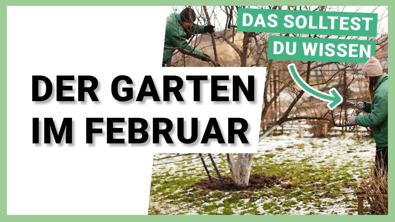 Der Garten im Februar: Was jetzt zu tun ist!