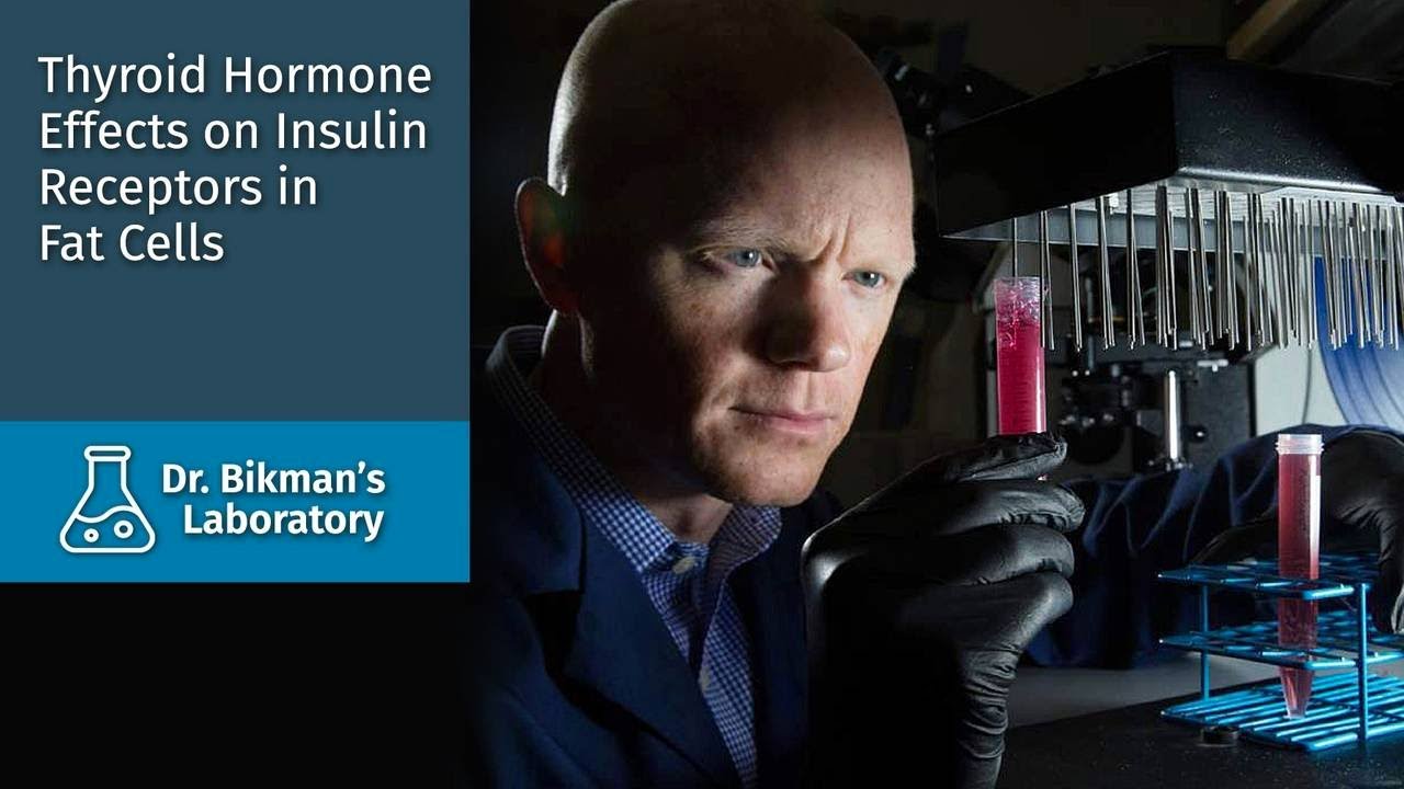 23: How Thyroid Affects Insulin & Fat Cells with Dr. Ben Bikman
