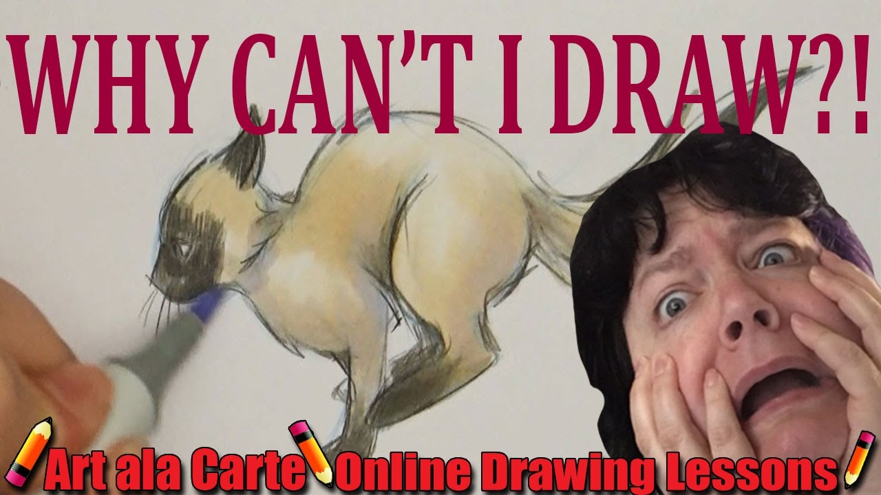 Why can't I draw this!?!?!?  My tips for breaking a drawing down