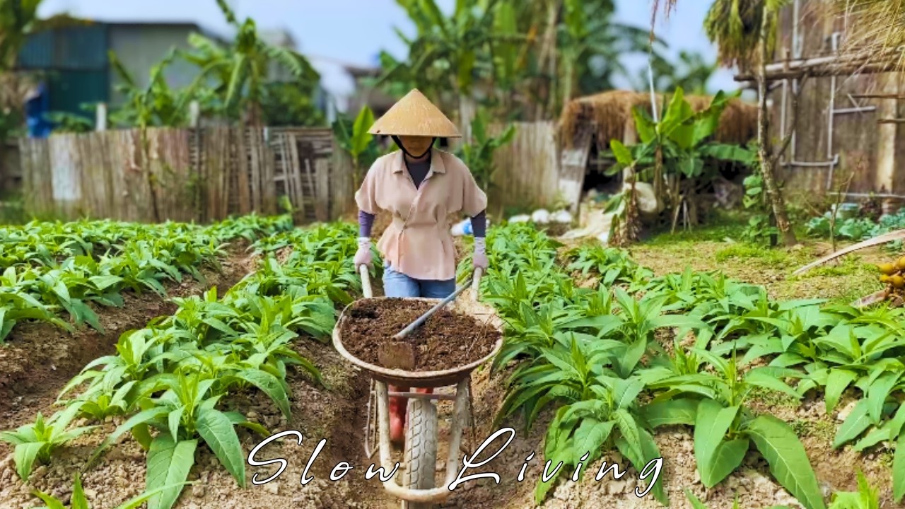 Seasonal Slow Living I From Village Market to Table I Authentic Vietnamese Cooking I Winter Garden🌿