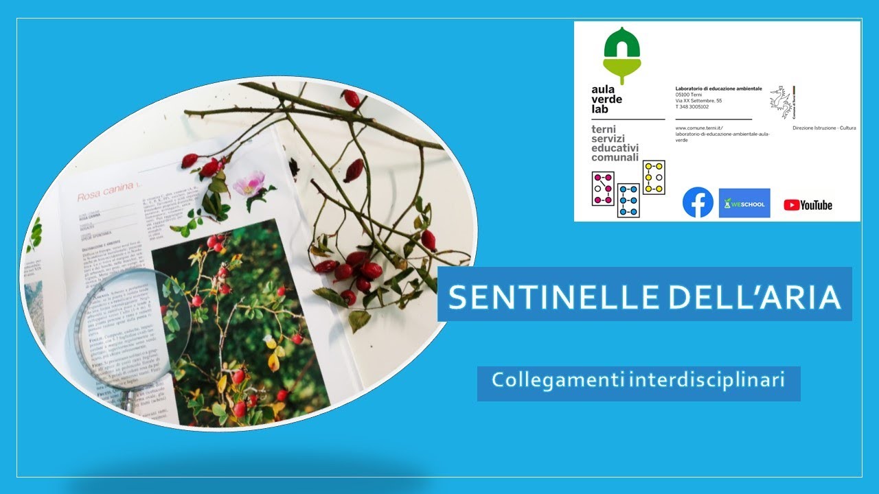 Sentinelle dell' aria - I licheni - Collegamenti interdisciplinari - da 11 anni
