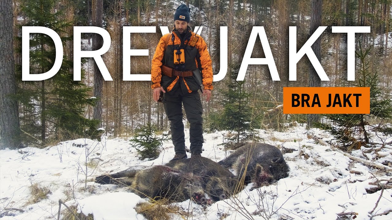 Drevjakt i &Ouml;sterg&ouml;tland - 