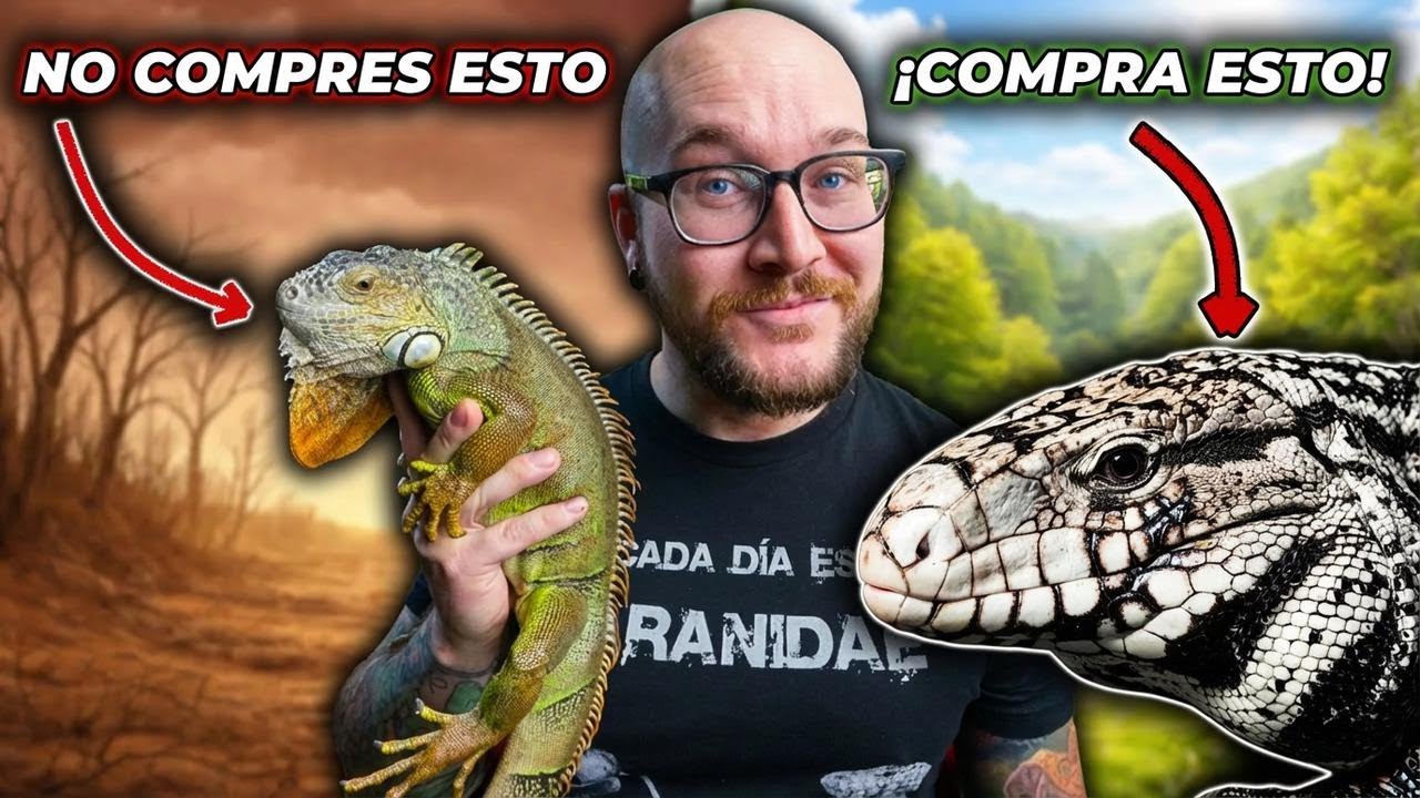 5 reptiles que crees que quieres pero seguro te arrepientes