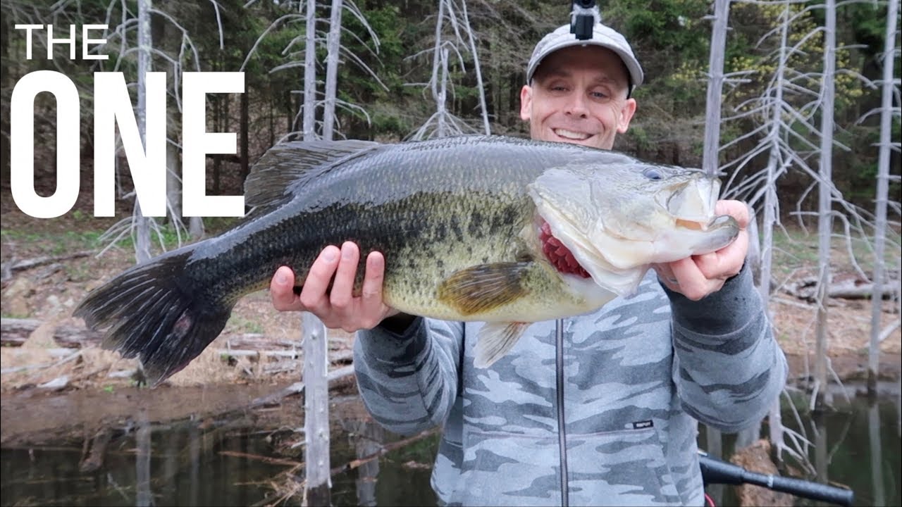 We all dream of it. 3 year journey to new personal best. GIANT Northeast bass on topwater swimbait.