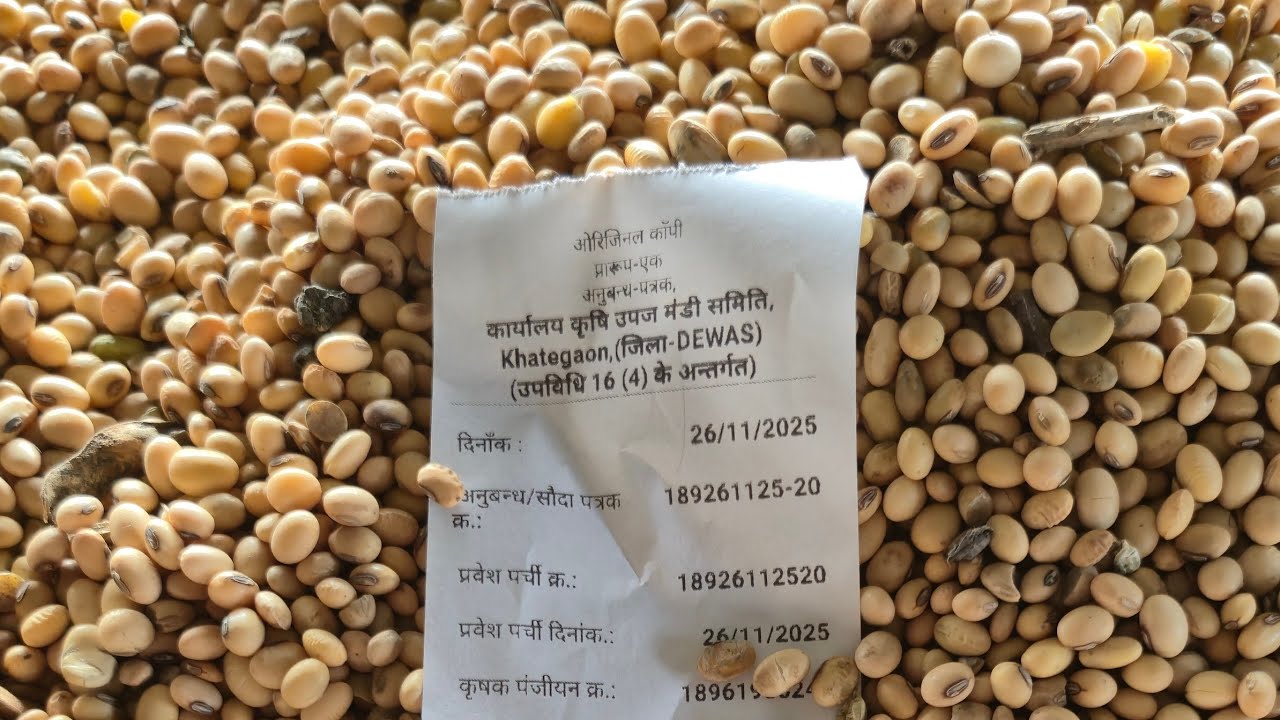 कृषि उपज मंडी खातेगांव से 26 नवंबर 2025 का मंडी भाव।