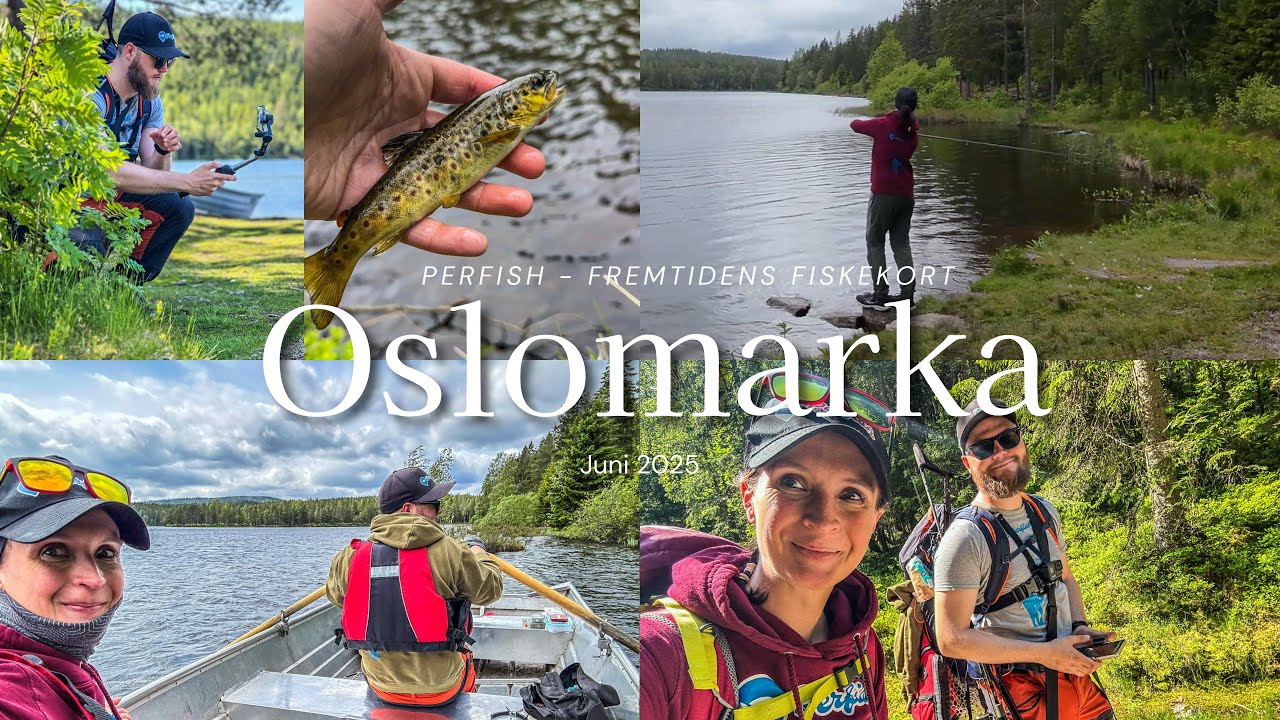 Tam fugl og vill ørret: En fisketur i værskifte  | Øyungen & Skarselva | Oslomarka |  #perfish #ofa