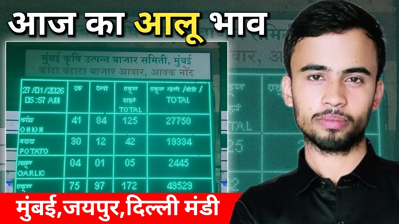 27/01/2026 Aaj ka aalu ka bhav | Mumbai Jaipur Delhi mandi update | Potato Price today