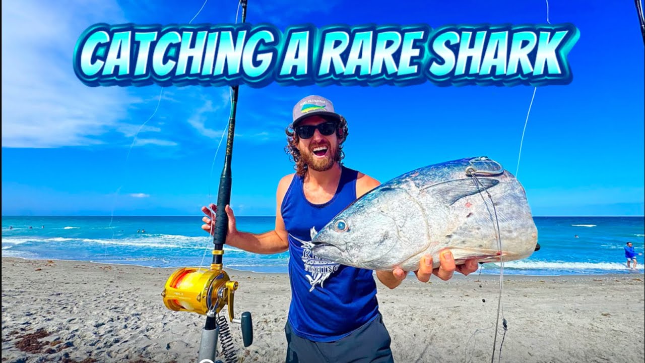 Catching a Rare Protected Shark! 🦈 Shark fishing Florida ep. 8