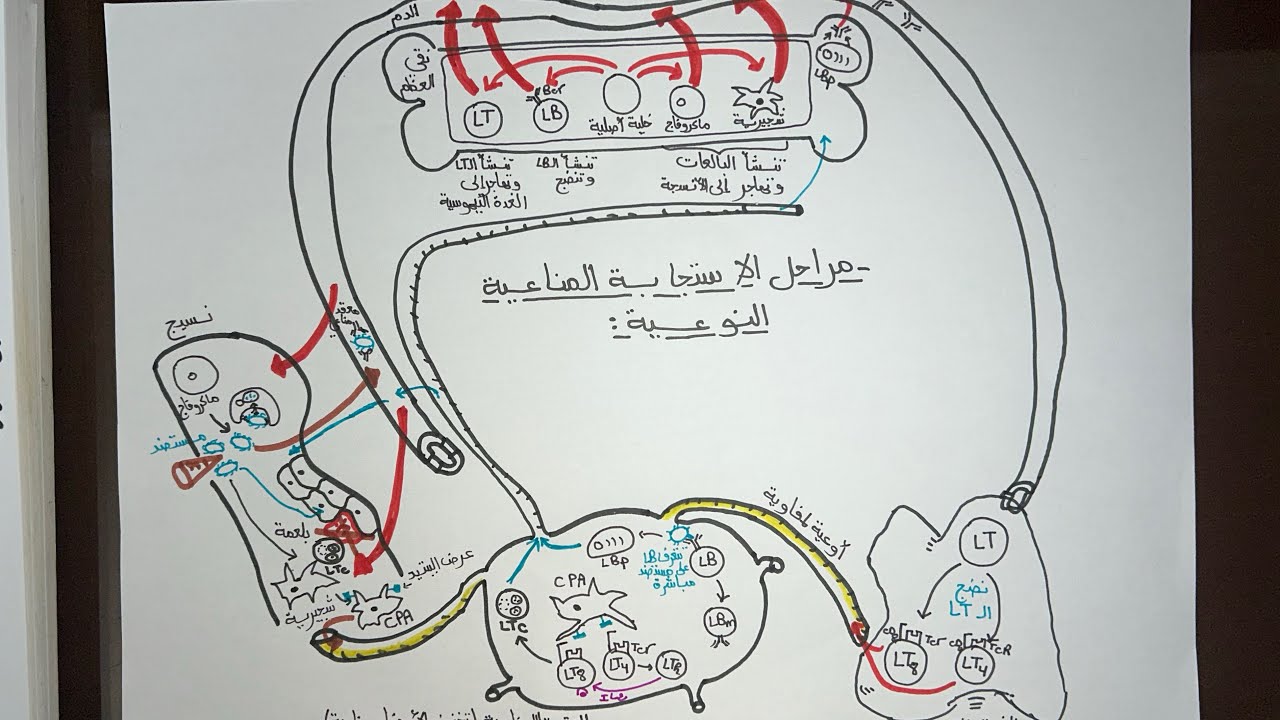 الاستجابة المناعية النوعية افهمها كما لم تفهمها من قبل 😵‍💫😵‍💫