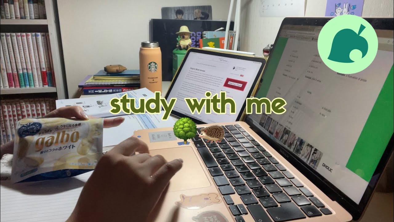 【作業用】1時間頑張るだなも🌳study with me | animal crossing lofi🦔