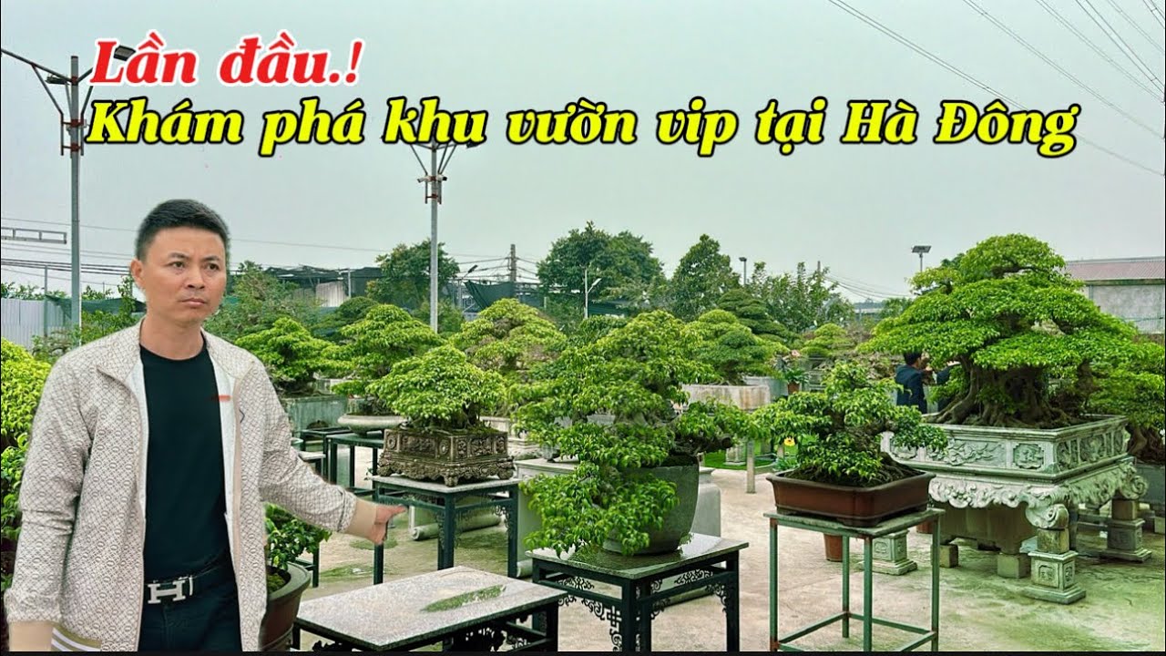 Lần Đầu .! Khám phá khu vườn VIP tại Hà Đông |Quảng Tùng 