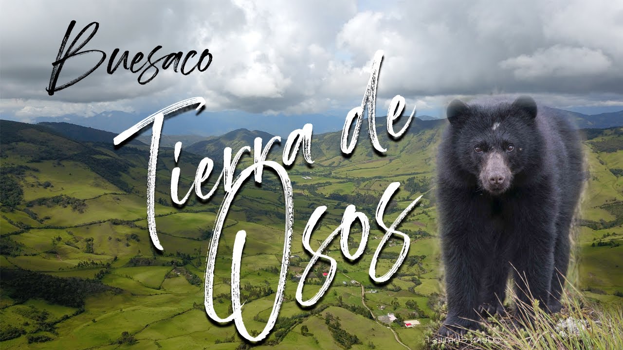 Buesaco Nariño - Tierra de Osos (corregimiento del Rosal del Monte)