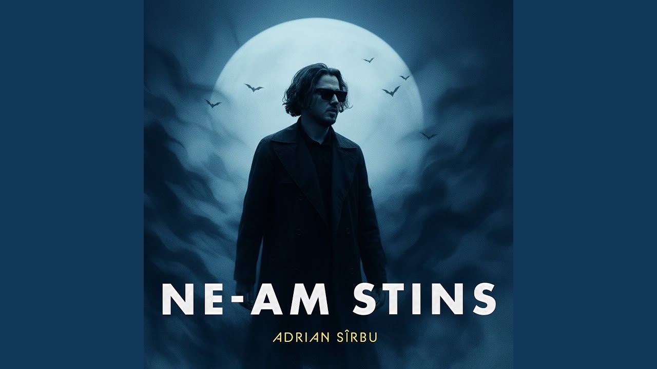 Ne-Am Stins