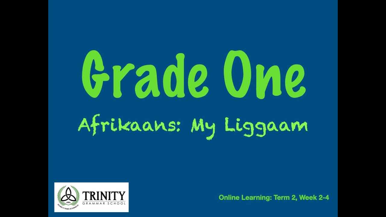 Grade 1: Afrikaans - My Liggaam