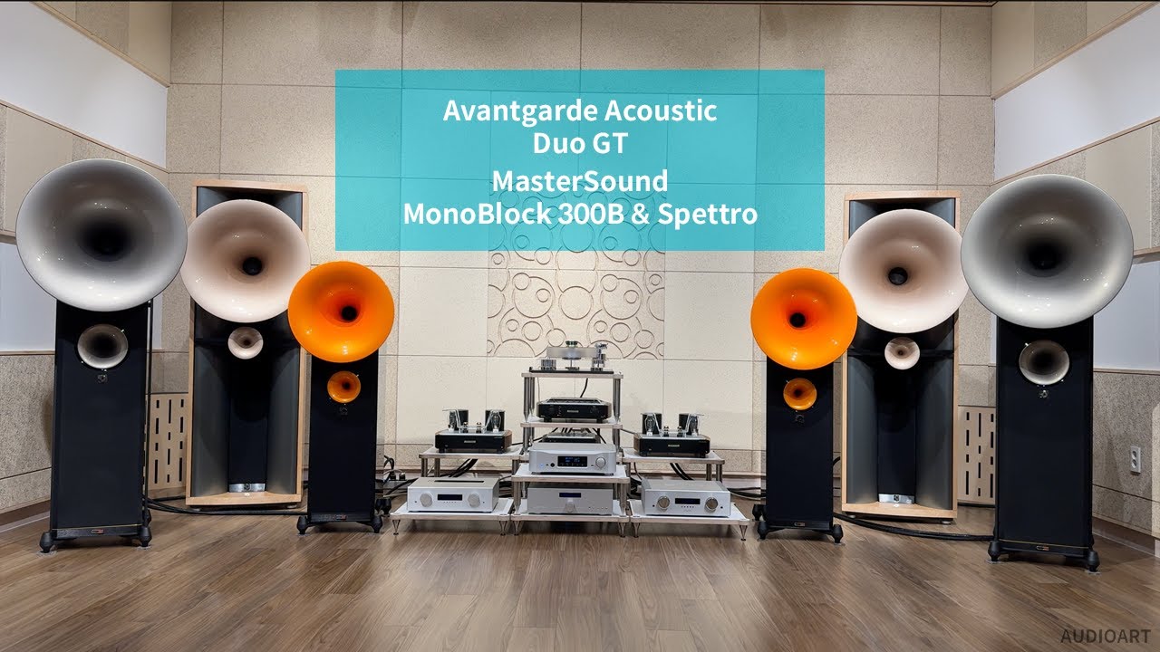 Avantgarde Acoustic(아방가르드 어쿠스틱) Duo GT Master Sound(마스터사운드) MonoBlock 300B & Spettro