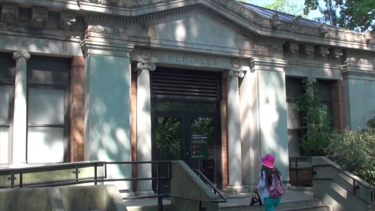 New York - Bronx Zoo