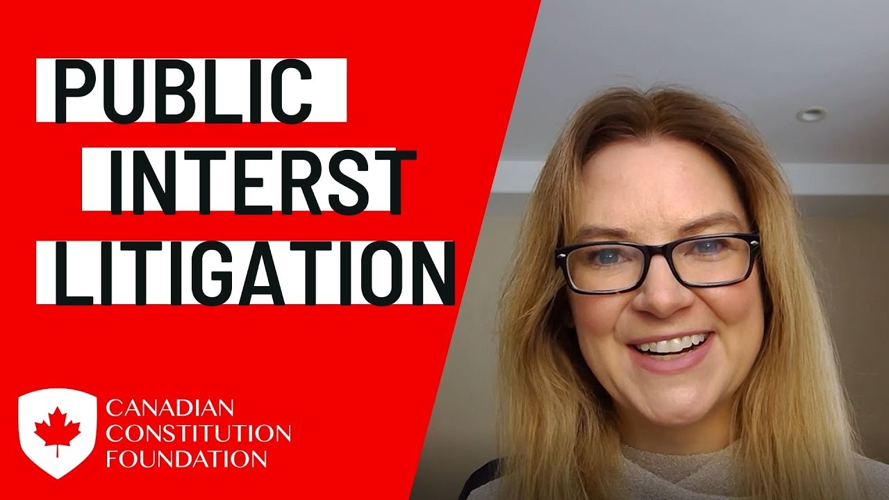 What is public interest litigation and why does it matter?