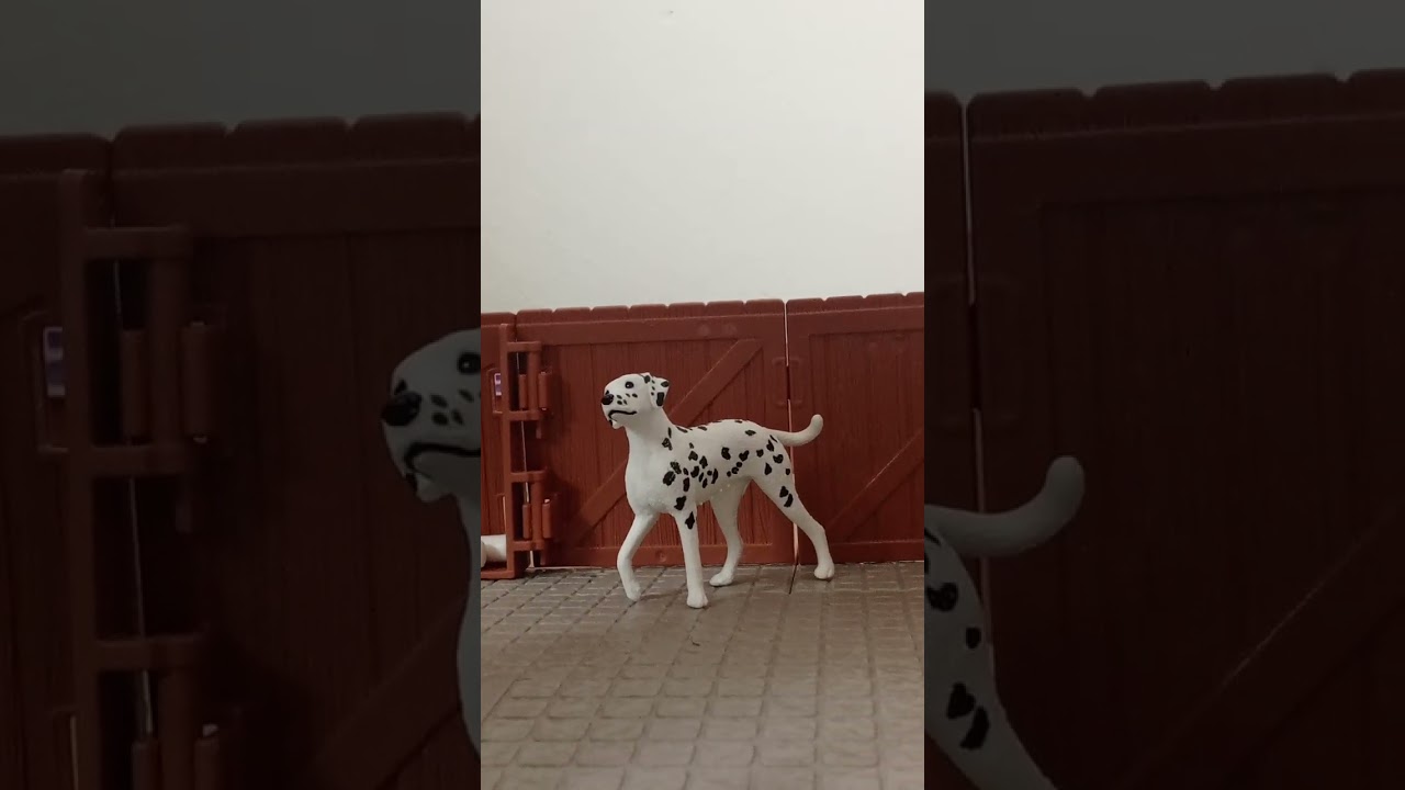  Новичок vs профисионал шляйх блогер