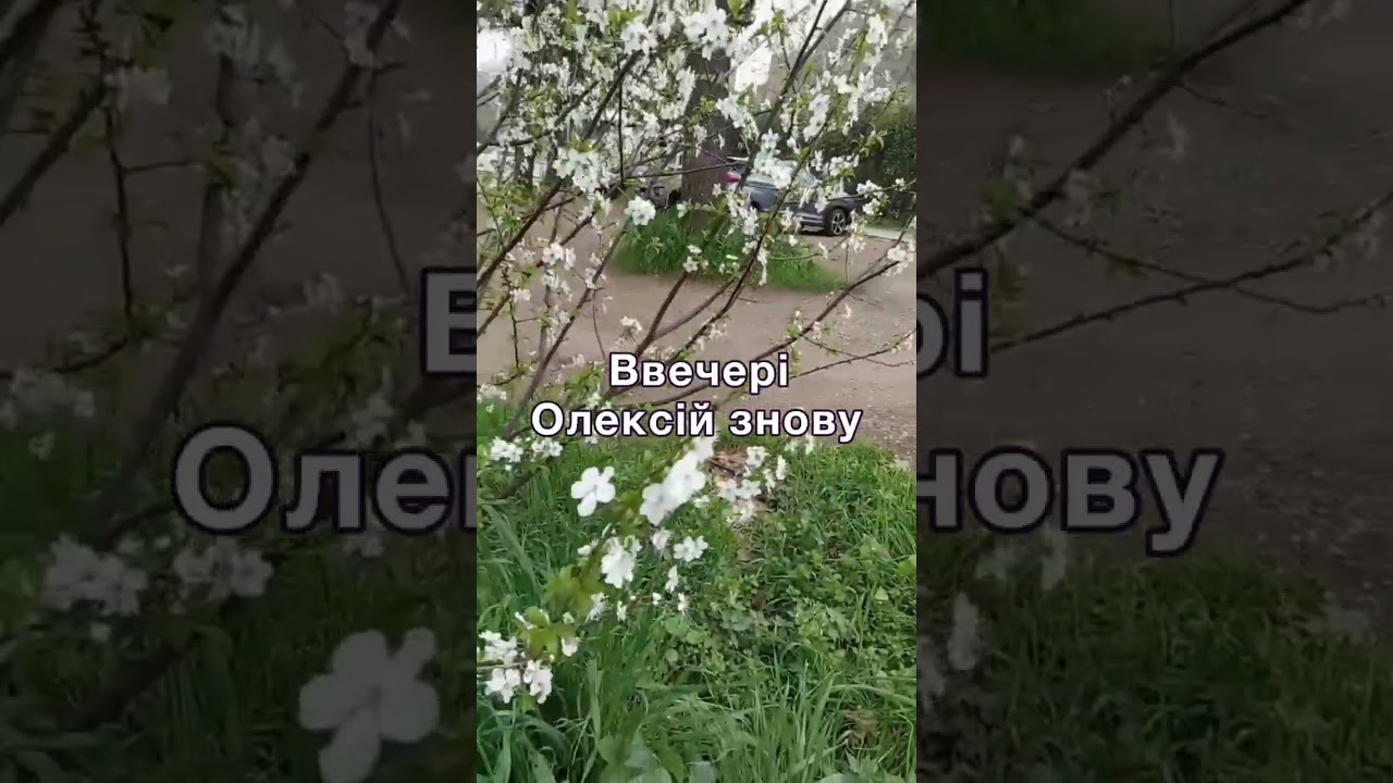 Дві рідні сестри, але такі дві різні, або щастя в кожного своє