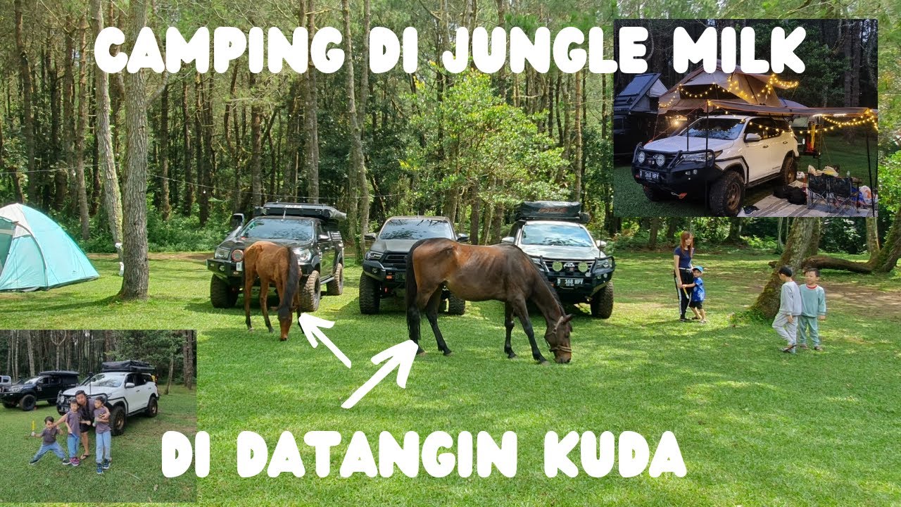 SETELAH 3 TAHUN AKHIRNYA CAMPING LAGI DI JUNGLE MILK LEMBANG FEAT GORILLA FUN OFFROAD