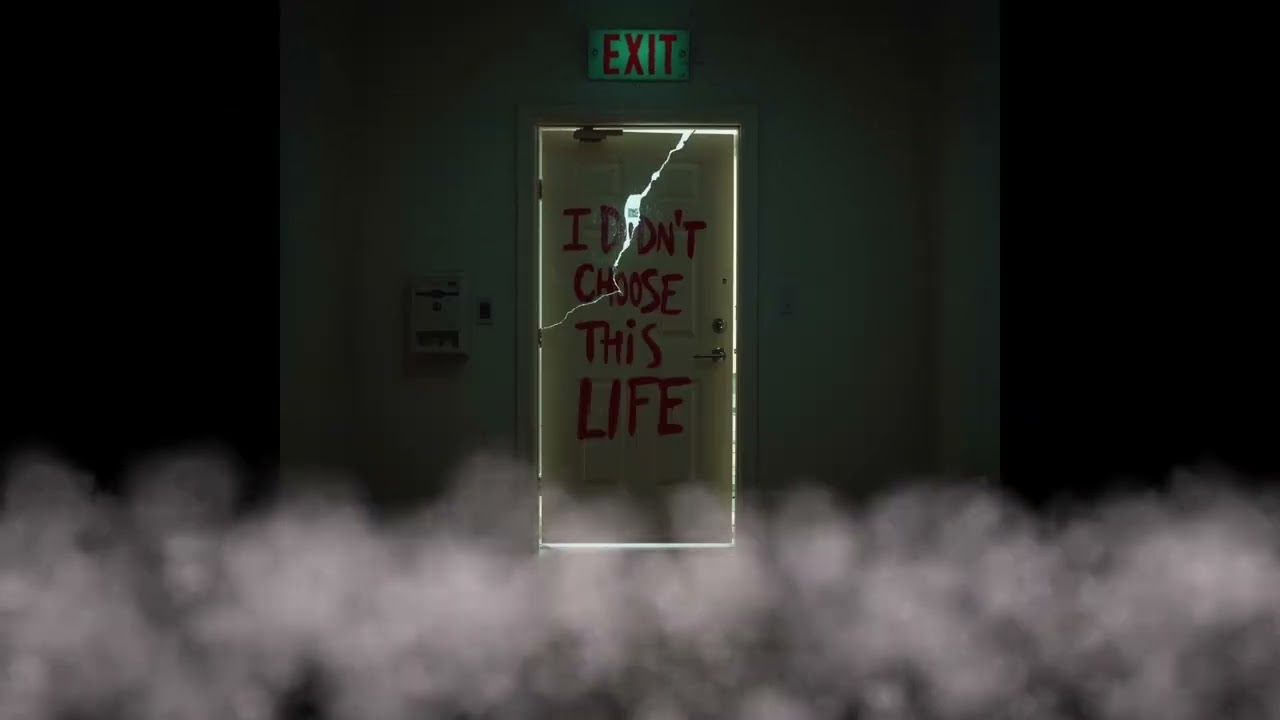 I Didn't Choose This Life
