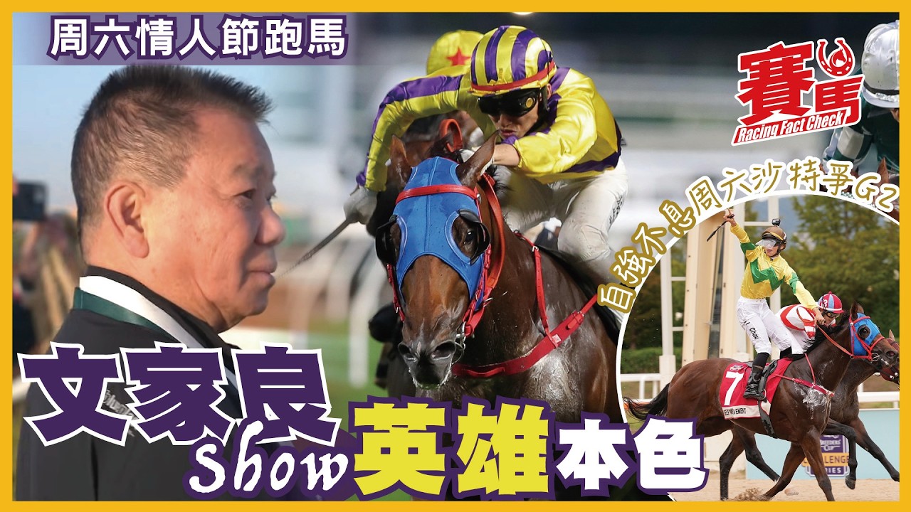賽前Highlights｜2.14情人節沙田日賽 文家良近兩季逢周六跑馬例贏 今期又有數糊籌碼 巴度對上兩季送歲日賽皆有頭馬進賬 今次又手執惡馬準備食蛇年尾糊 CC中文字幕#賽馬FactCheck