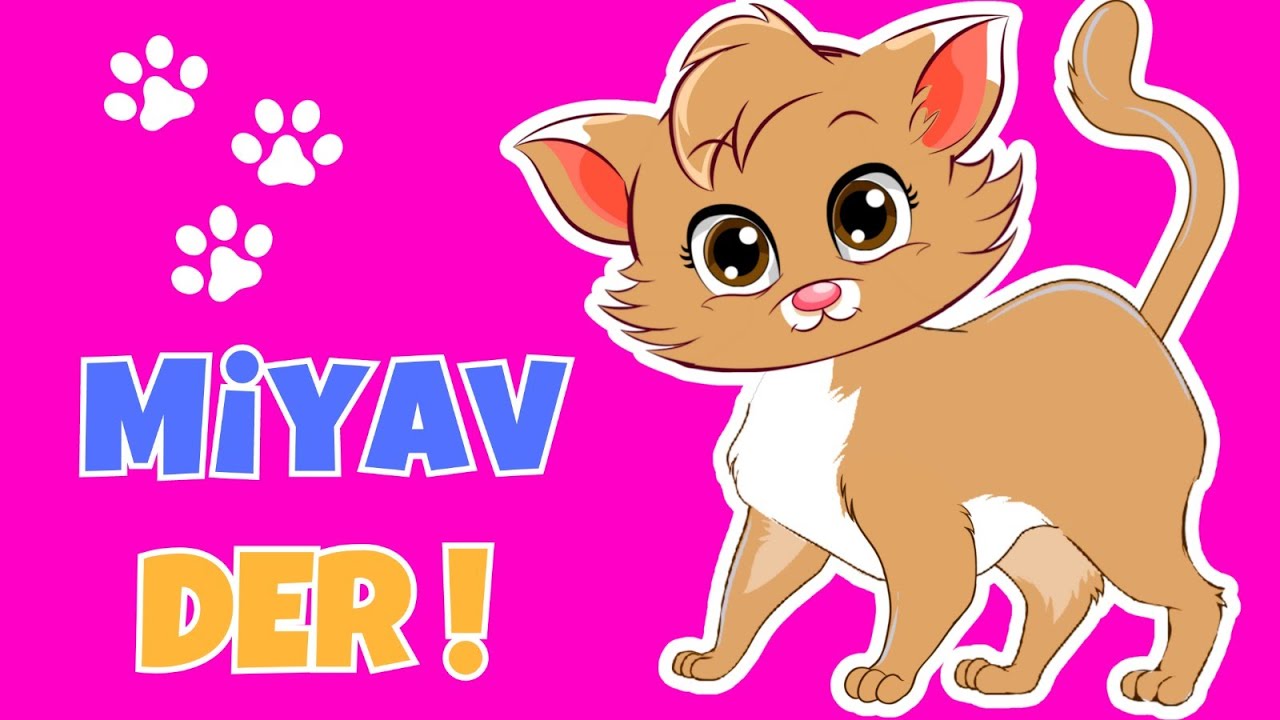 🐱Kedicim Miyav Miyav Der - Kedicim Benden Ne İster | Eğlenceli Çocuk ve Bebek Şarkıları | Çizgi Film