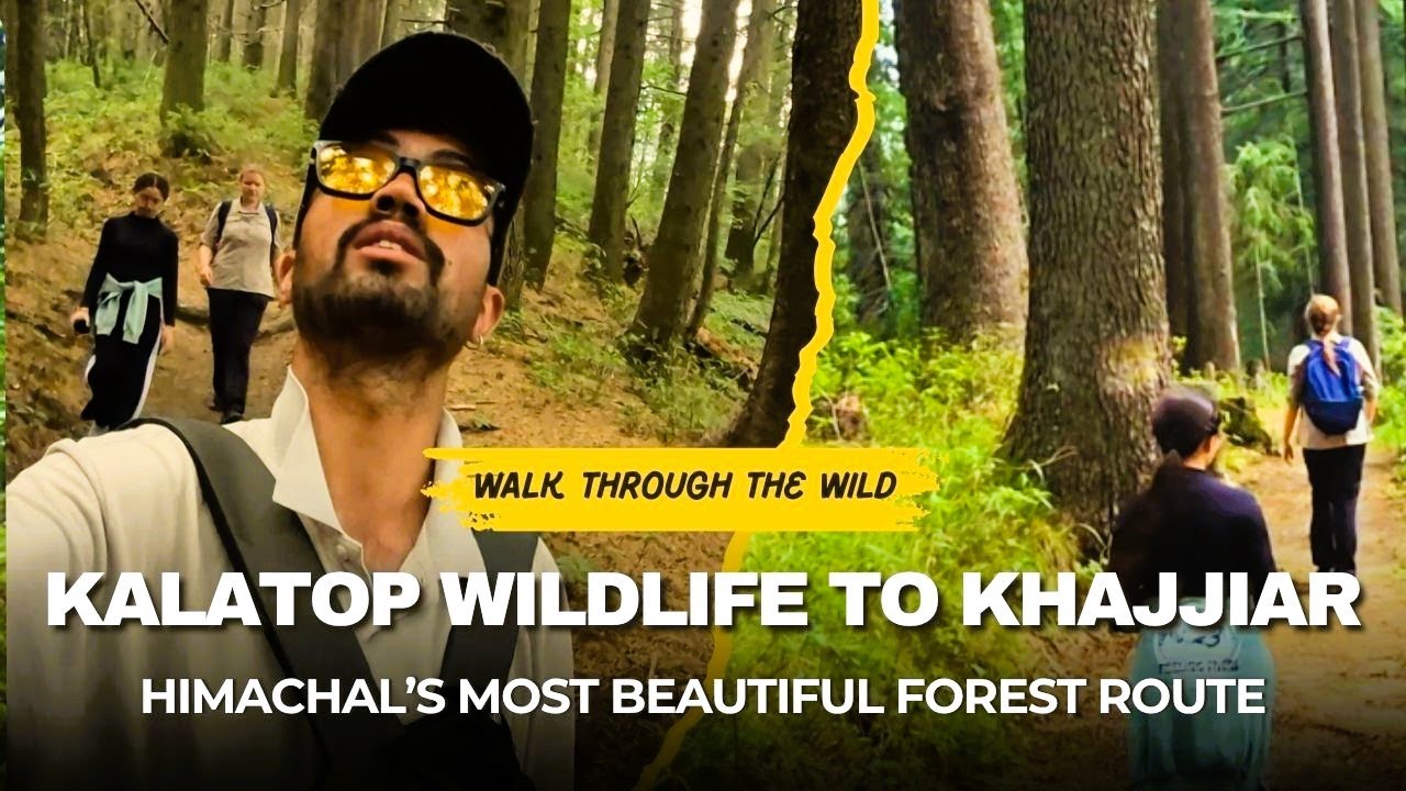 Dalhousie Kalatop Wildlife Sanctuary to Khajjiar Trek | Trekking in Dalhousie, Himachal Pradesh