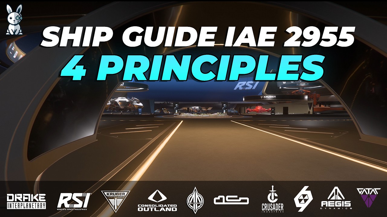 IAE 2955: 4 Principles for Smart Ship Buying - Star Citizen