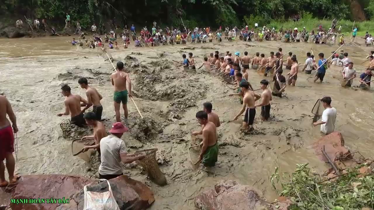 Xả Lũ Hồ Thủy Điện Bắt Cá, Toàn Cá Khủng Lồ. 25/10/2023. release floods to catch fish. Khổng Lồ