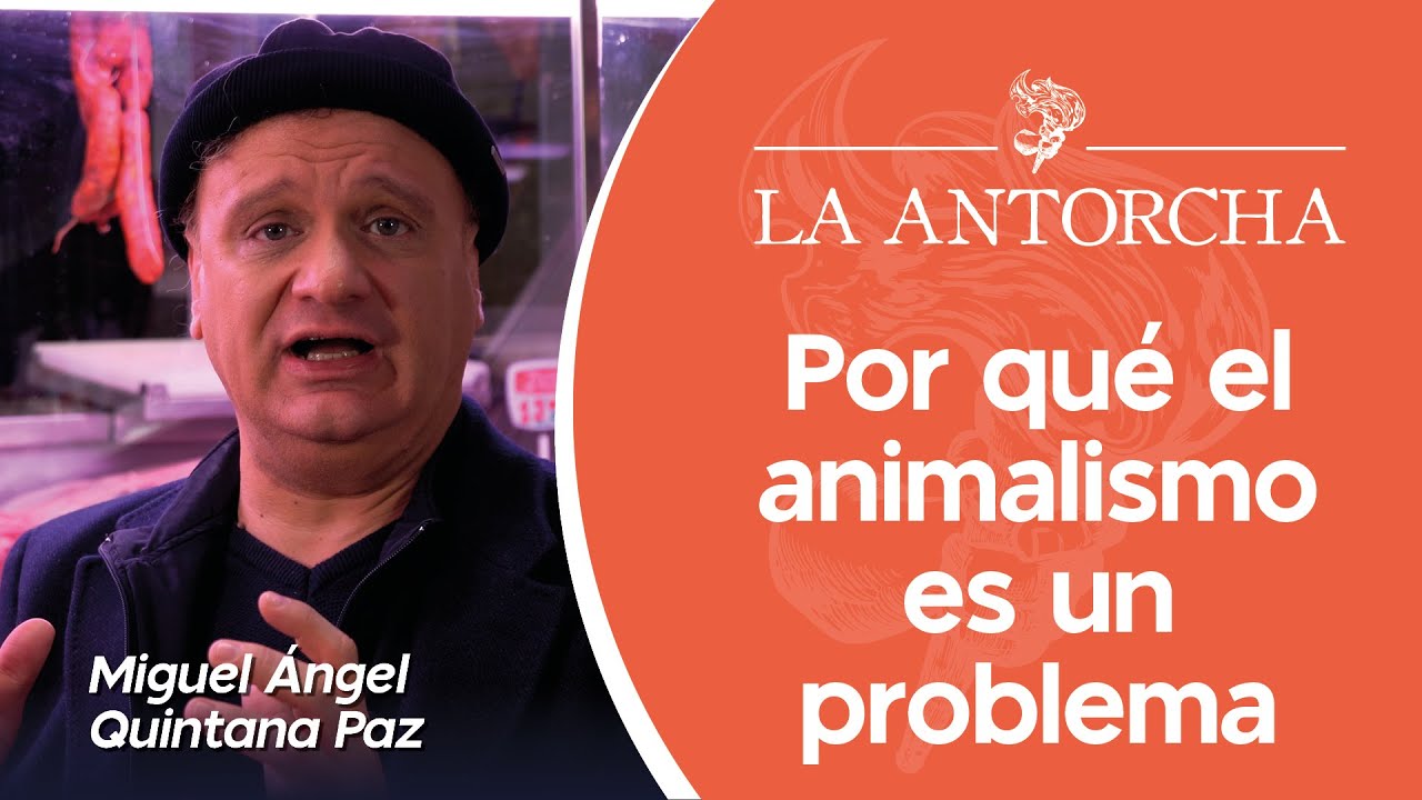 10 claves para entender por qué el animalismo es un problema