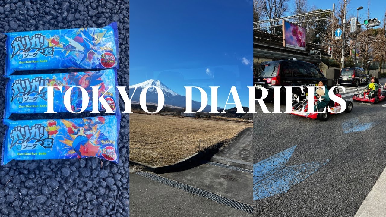 Japan Vlog🎌: ep 1, Flea Market, Mount Fuji🗻 and More                         