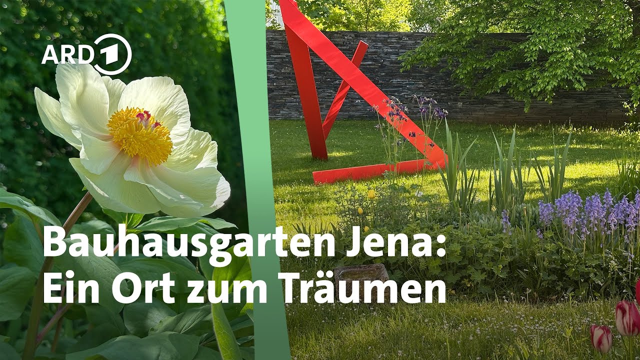 Gartenkunst und Moderne: Bauhaus-Garten in Jena | MDR Garten