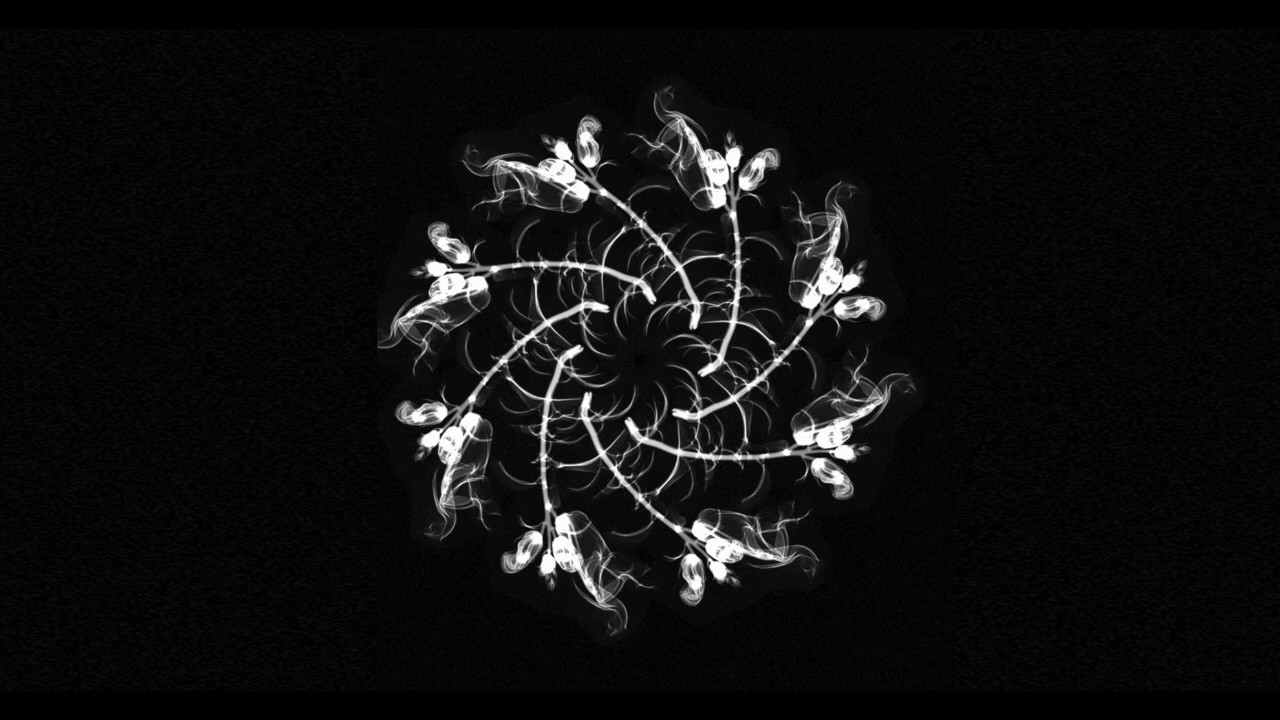 Fernando Campo – Soul (Original Mix)