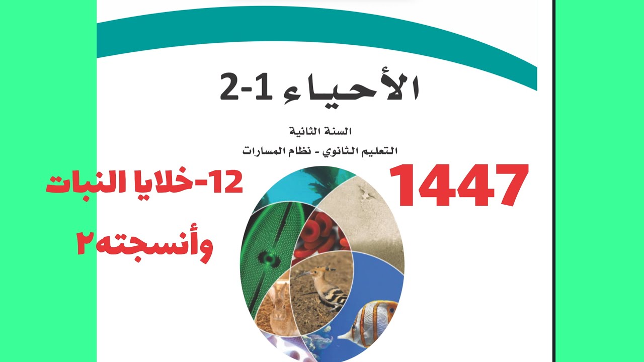 12- خلايا النبات وأنسجته ٢ ( أحياء ثاني ثانوي 1447 )
