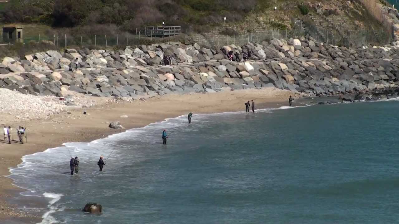 The Fall Run, Montauk Fishing (Striped Bass, Albies and Bluefish)