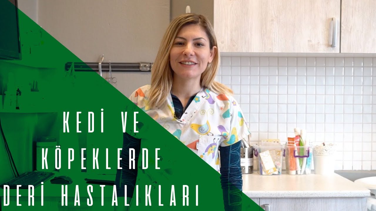 KEDİ VE KÖPEKLERDE DERİ HASTALIKLARI